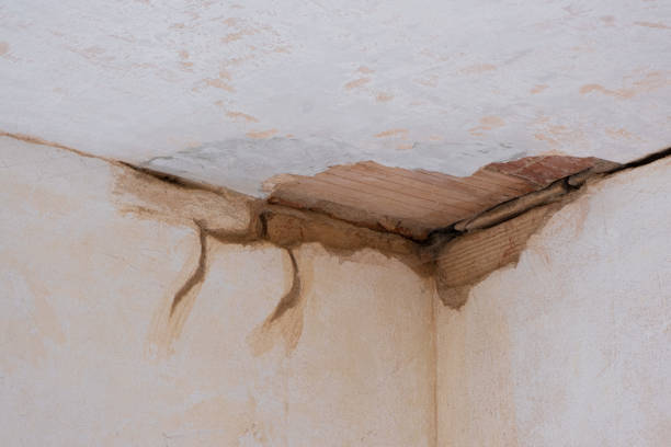 Best Professional water damage repair  in Blythe, CA