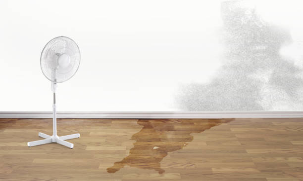Best Water damage restoration near me  in Blythe, CA