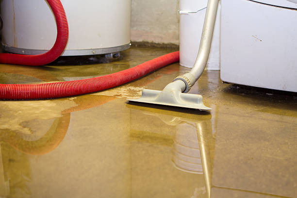 Best Flood restoration services  in Blythe, CA